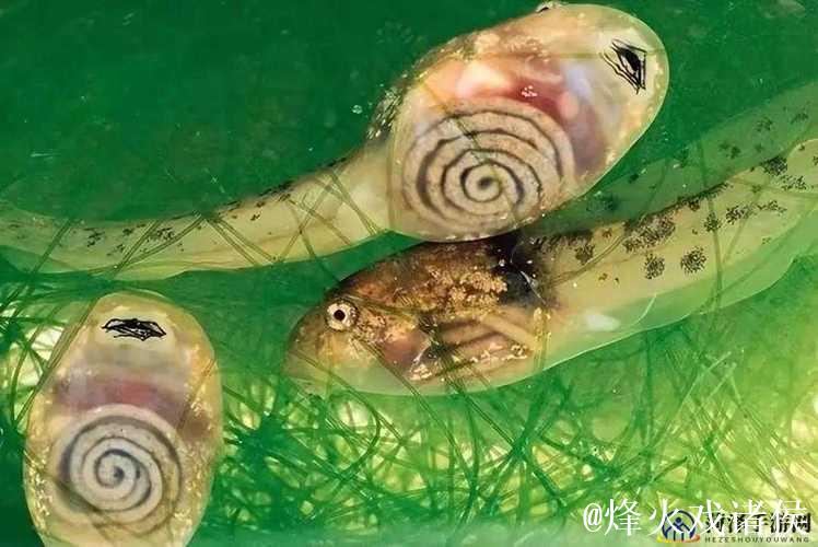 91九色蝌蚪视频 91九色蝌蚪视频